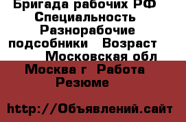 Бригада рабочих РФ › Специальность ­ Разнорабочие, подсобники › Возраст ­ 35-40 - Московская обл., Москва г. Работа » Резюме   